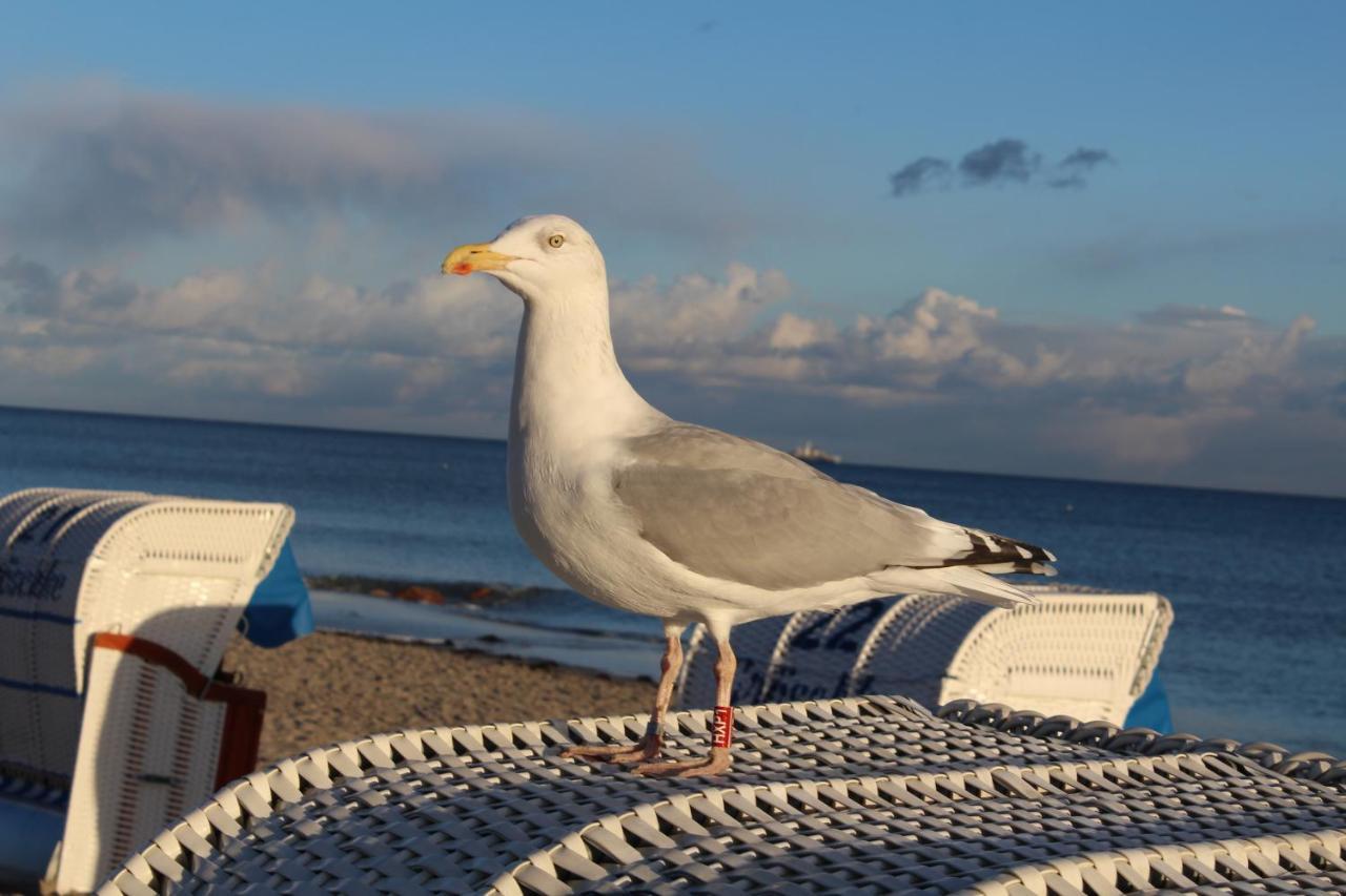 Ferienwohnungen Im Haus Strandburg Grömitz Esterno foto